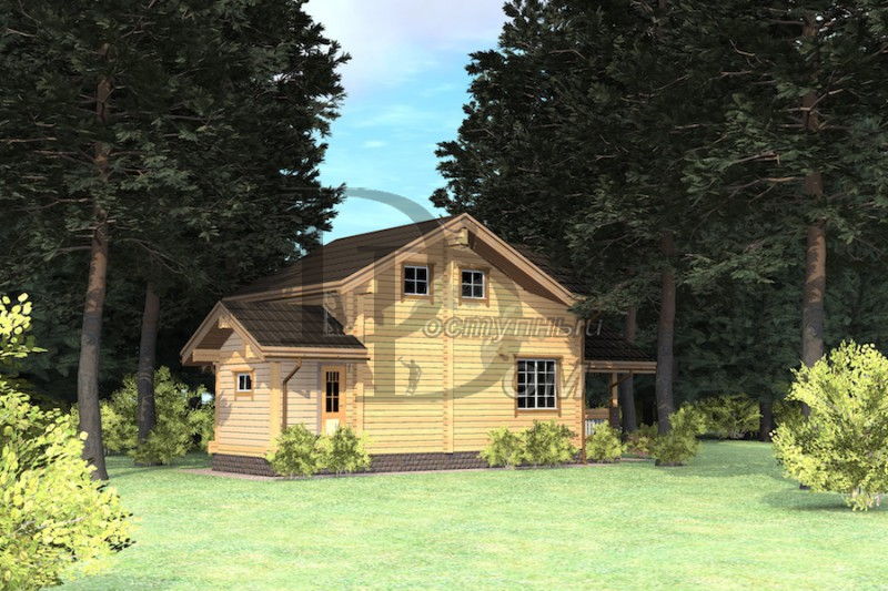 photo1